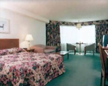 Chimo Hotel